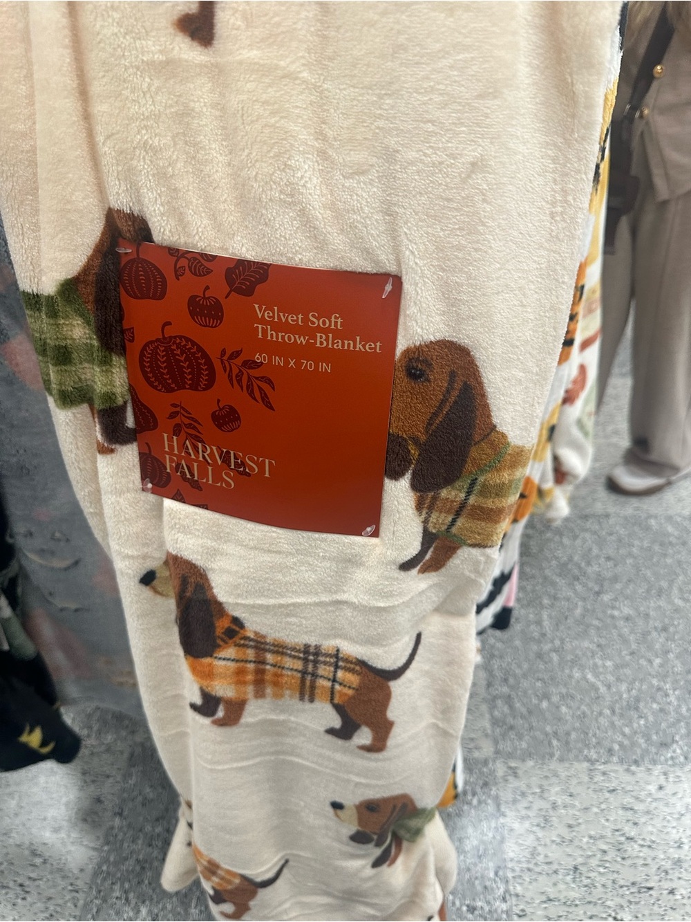 Cream Velvet Soft Throw Blanket with Dachshund Print